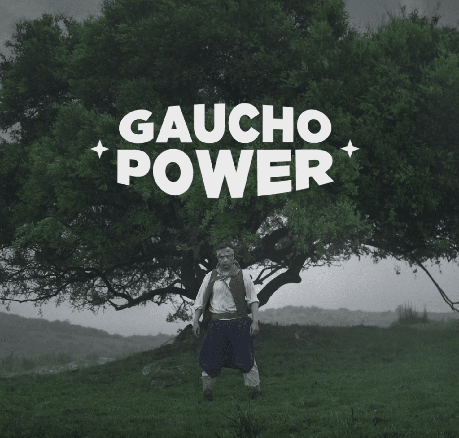 (BigFooty) GauchoPower.png