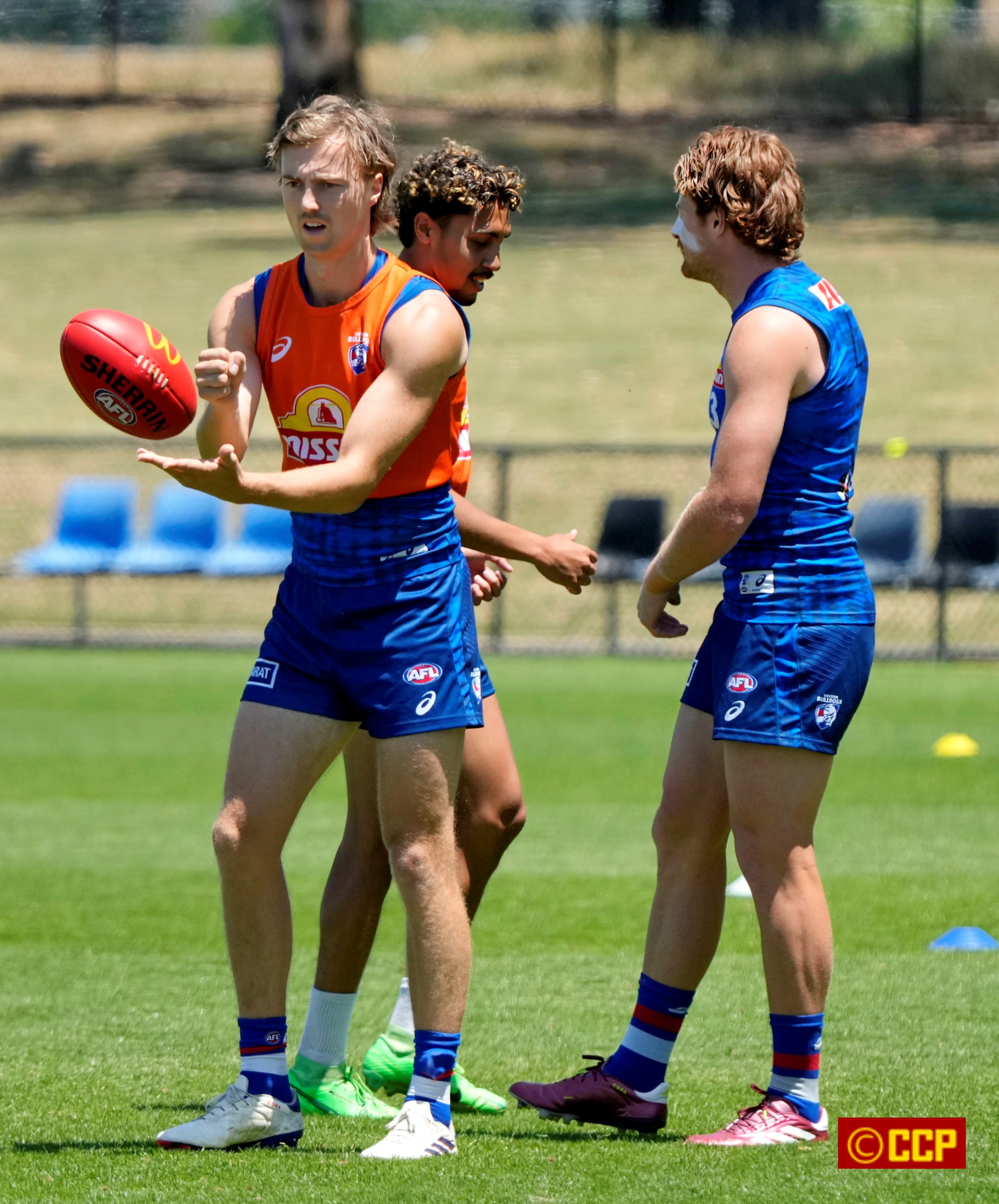 Bulldogs_training_Ballarat_09.JPG