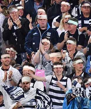 cats supporters grandstand.jpg