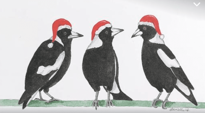 Christmas Magpies.png