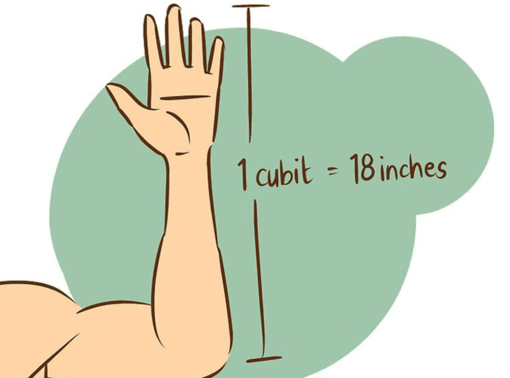 cubit.png