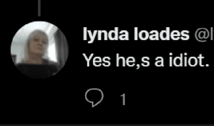 lynda_loades_idiotr.png