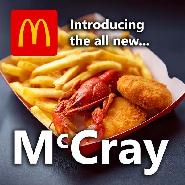 McCray-from-MCDonalds.jpg