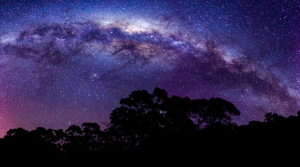 Milky Way skyline