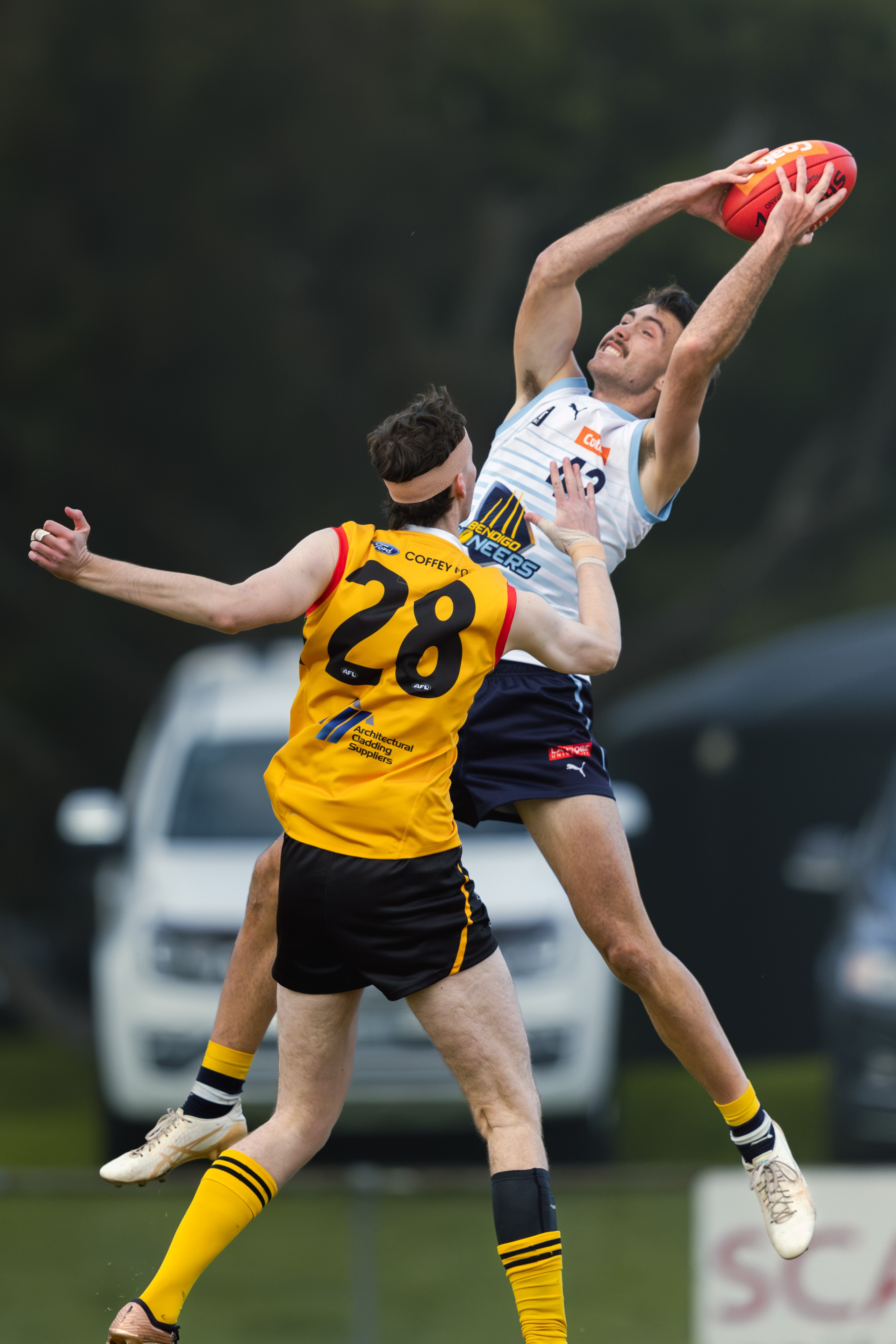 Pioneers v Stingrays-37.jpg