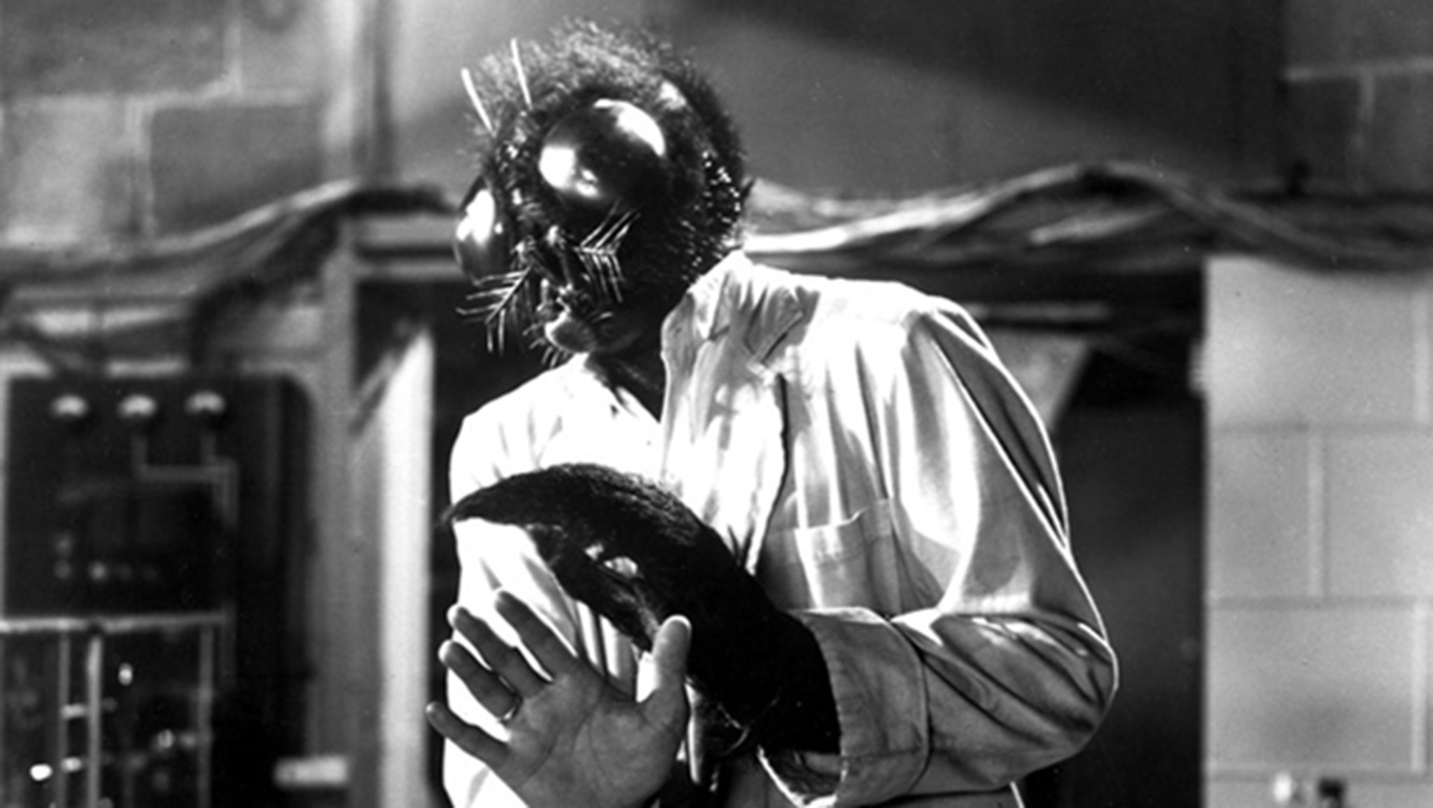 The Fly 1958_0.jpg