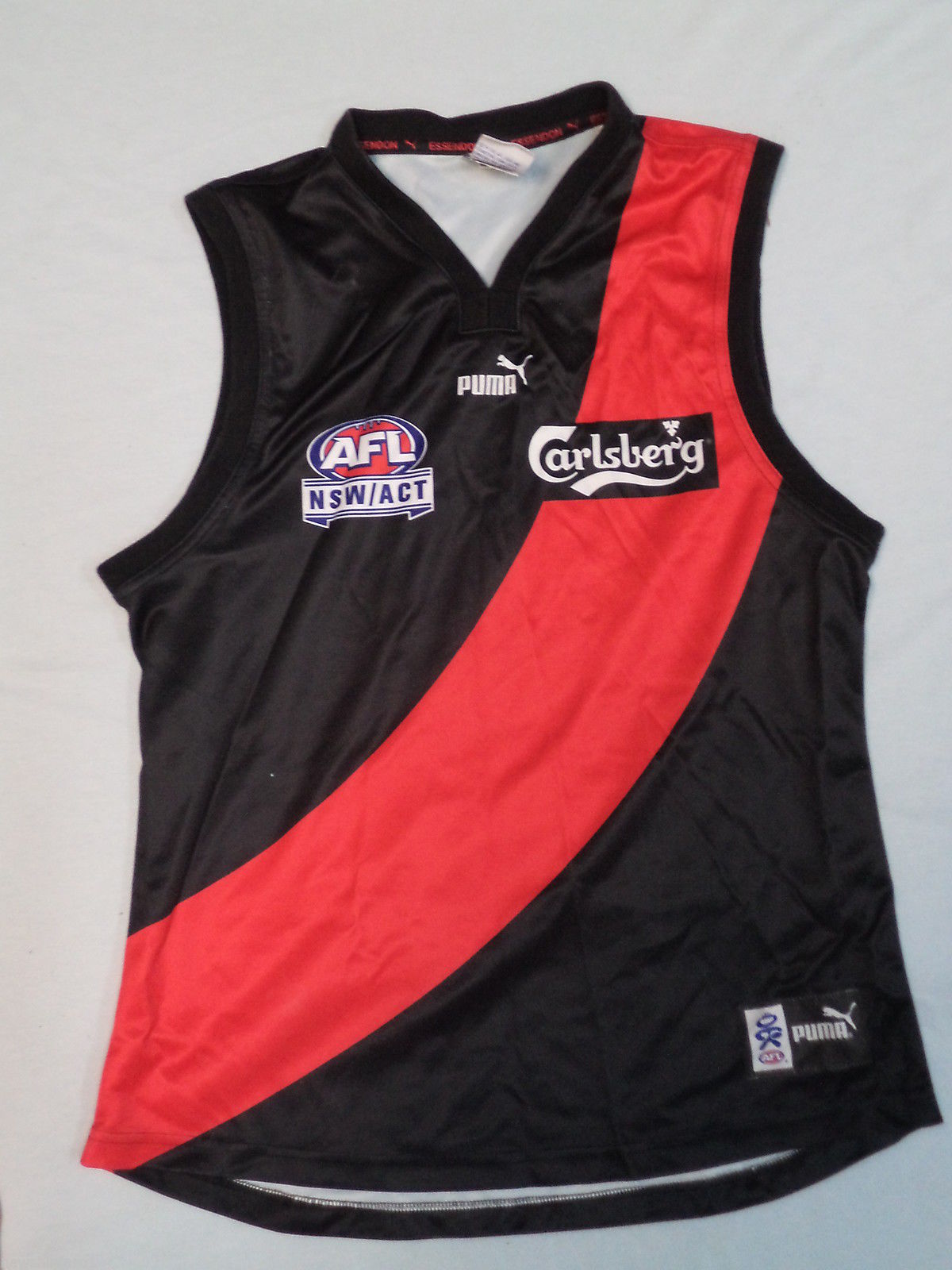 essendon1.jpg