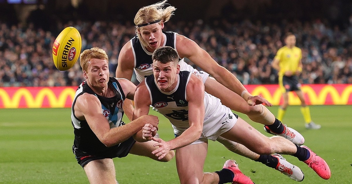 www.carltonfc.com.au