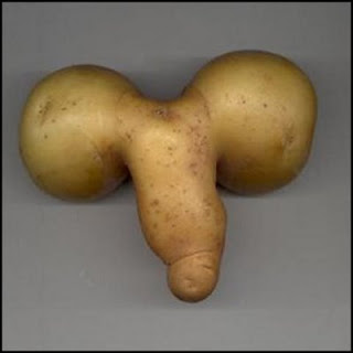 potato-cock5.jpg