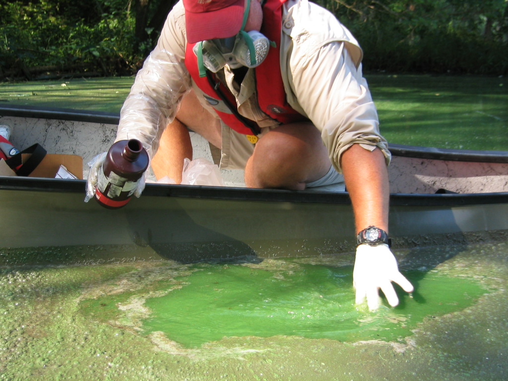 lake%20munson%20bg%20scum%20sampling%20for%20phytoplankton%20site%203%20001.jpg