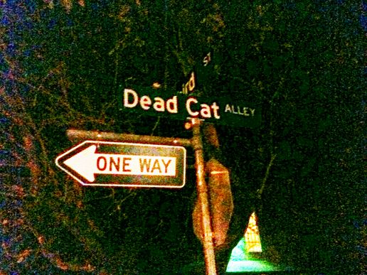 dead-cat-alley.JPG