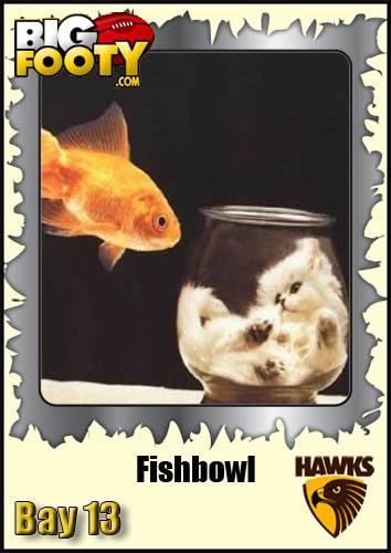 Fishbowl.jpg