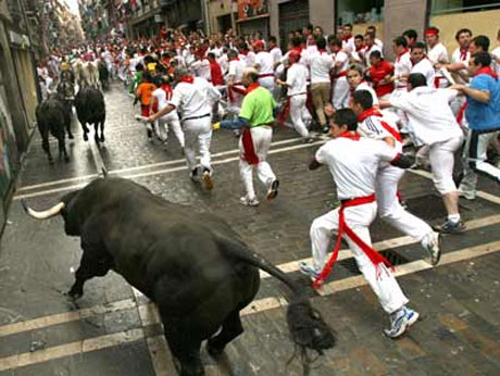 bull-running.jpg