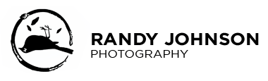 Randy-Logo.png