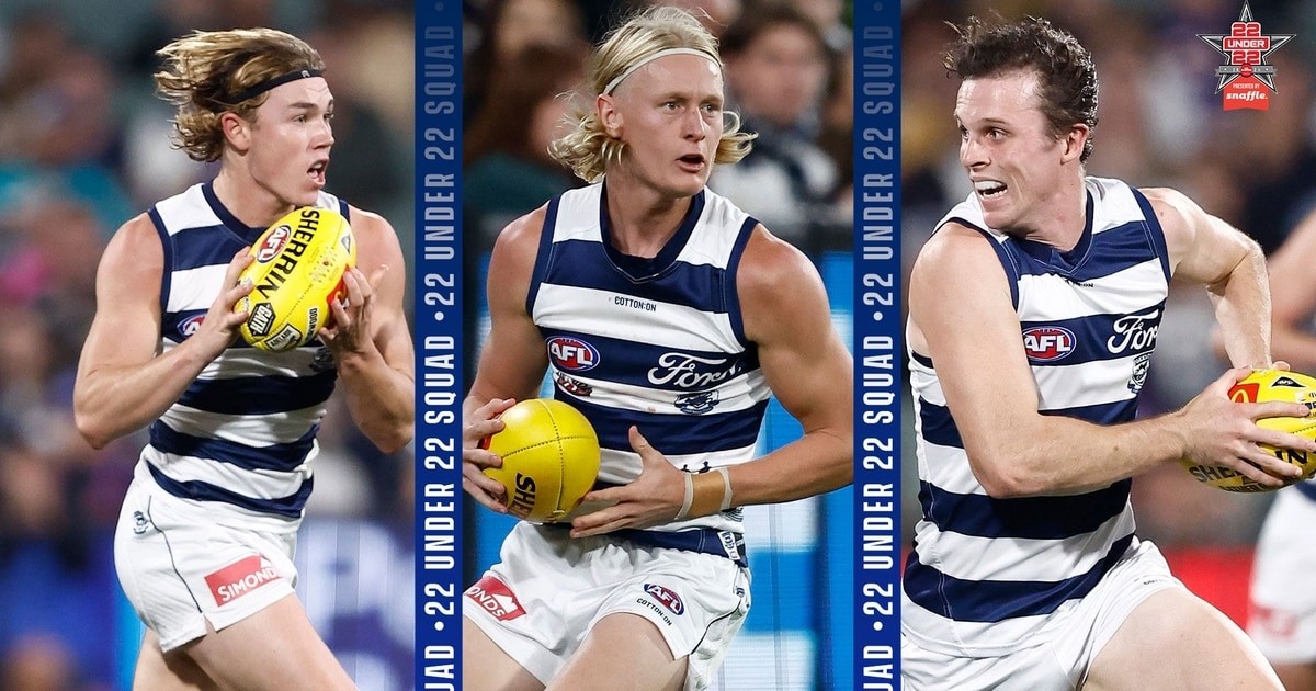 www.geelongcats.com.au