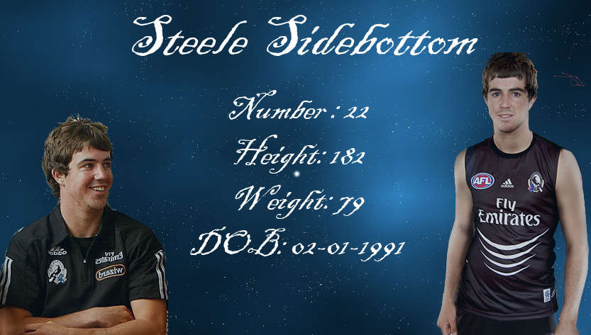 Steelo.png