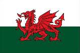 welsh-flag.jpg