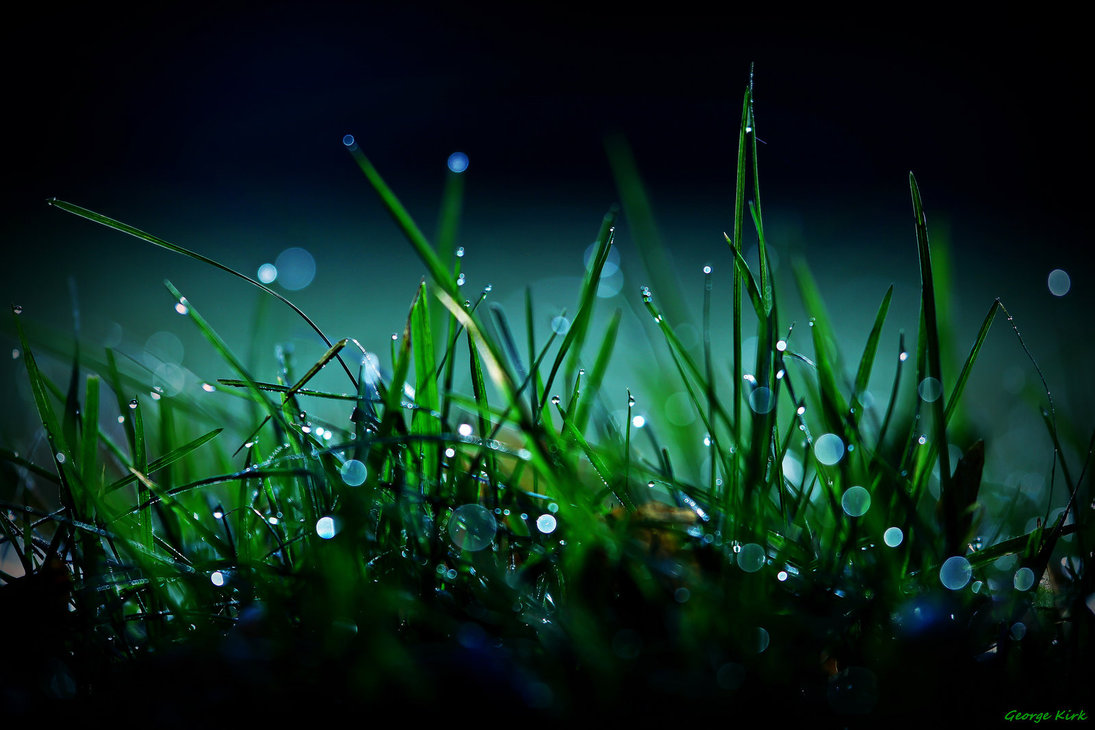 tungsten_dew_by_george___kirk-d6xbsib.jpg