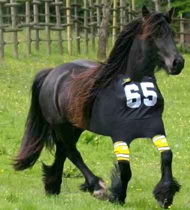 horsefootball.jpg