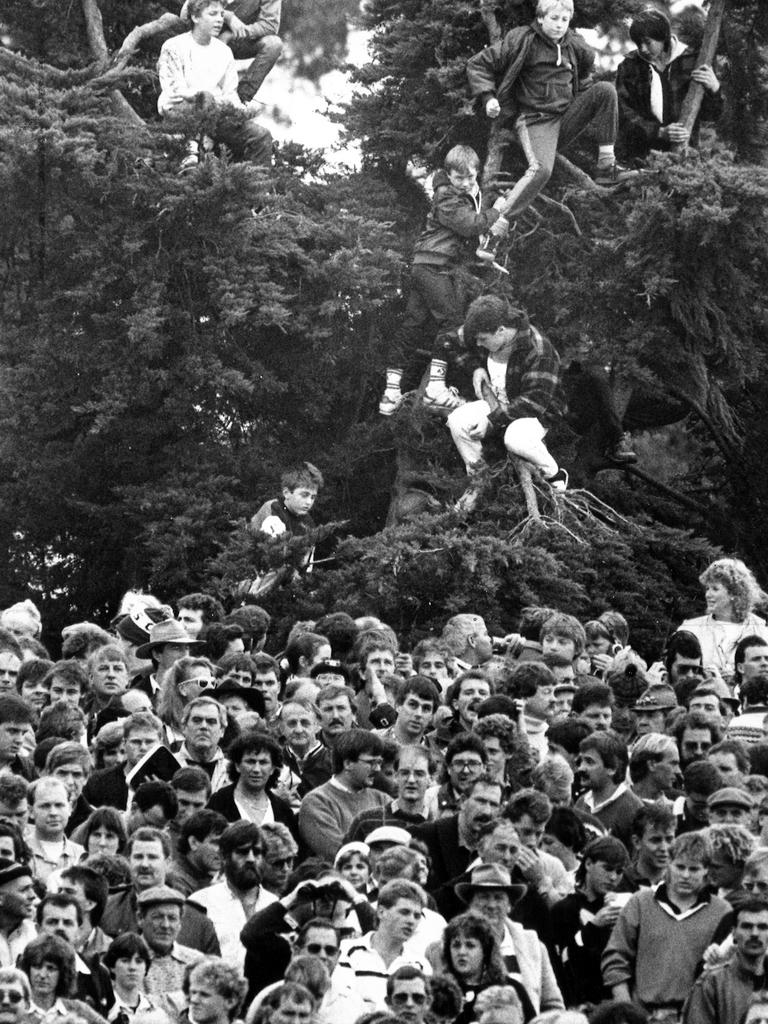 Geelong v Collingwood. Kardinia Park. Fans climbed tries to get a view of inside the ground.