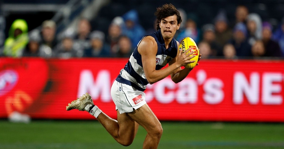 www.geelongcats.com.au