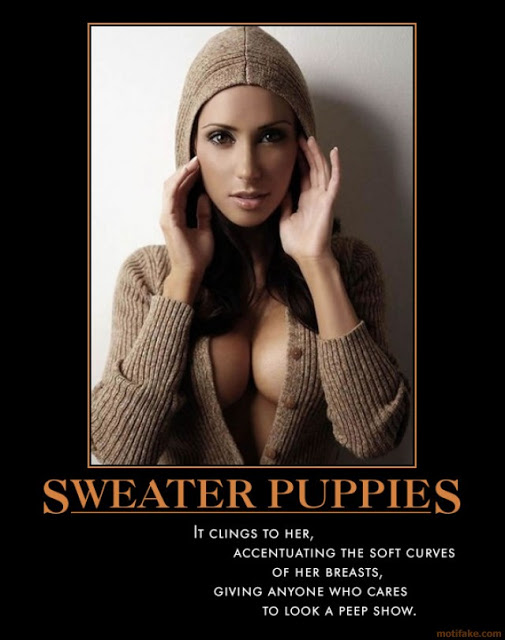 sweater-puppies-sweater-friend-breasts-nice-cubby-demotivational-poster-1278961669.jpeg