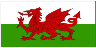 welsh_flag_printable_320.jpg