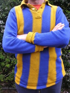 blueandgoldjumperarmsfolded1-225x300.jpg