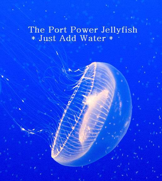 jellyfish.jpg