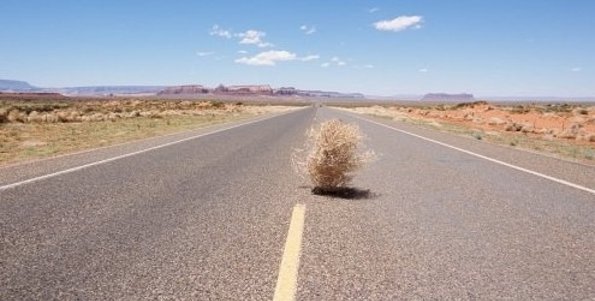 Tumbleweed.jpg