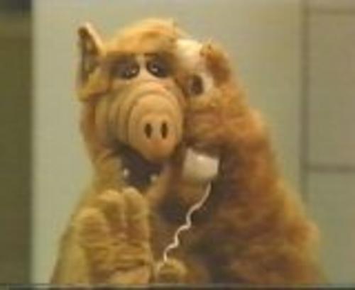 alf.jpg