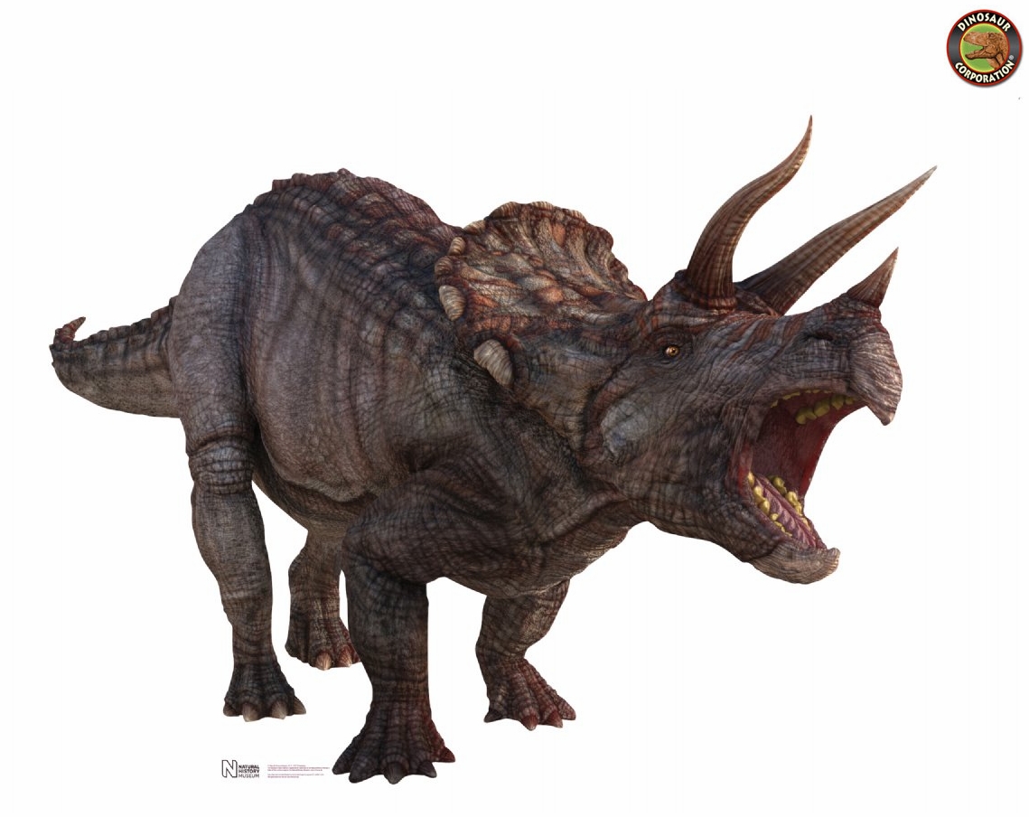 giant-triceratops-dinosaur-cardboard-stand-up-1.jpg