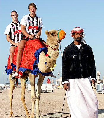 pies-in-dubai.jpg