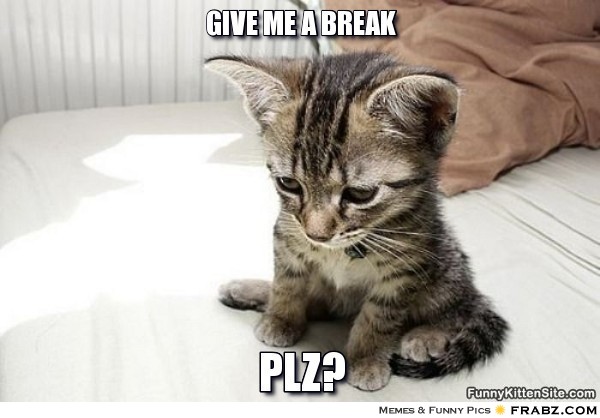 frabz-Give-me-a-break-Plz-f84a88.jpg