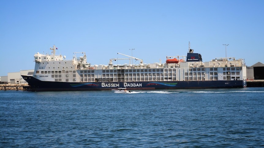 A ship is in a berth at the port, a boat passes it.