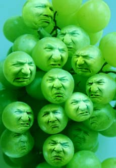 sour-grapes.jpg