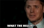 What_the_hell_by_agigi111.gif