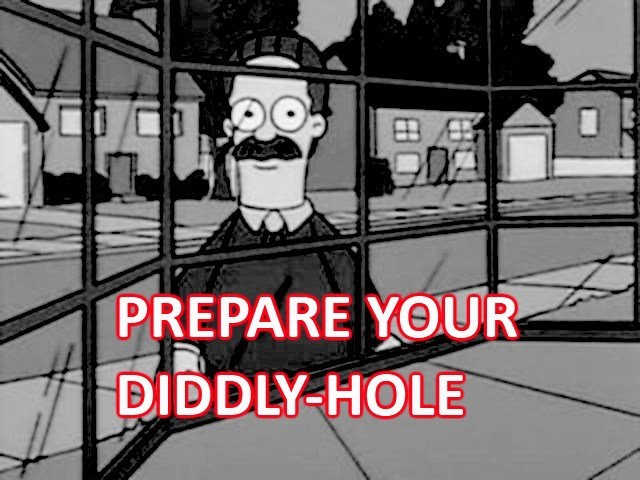 prepare-your-diddly-hole.jpg