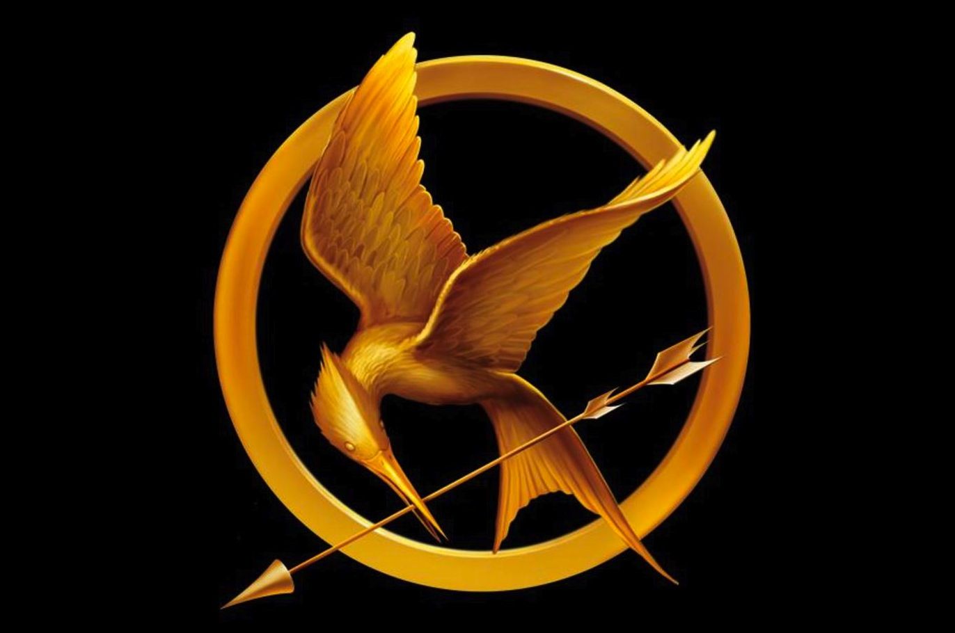 the-hunger-games-mockingjay-pin.jpg