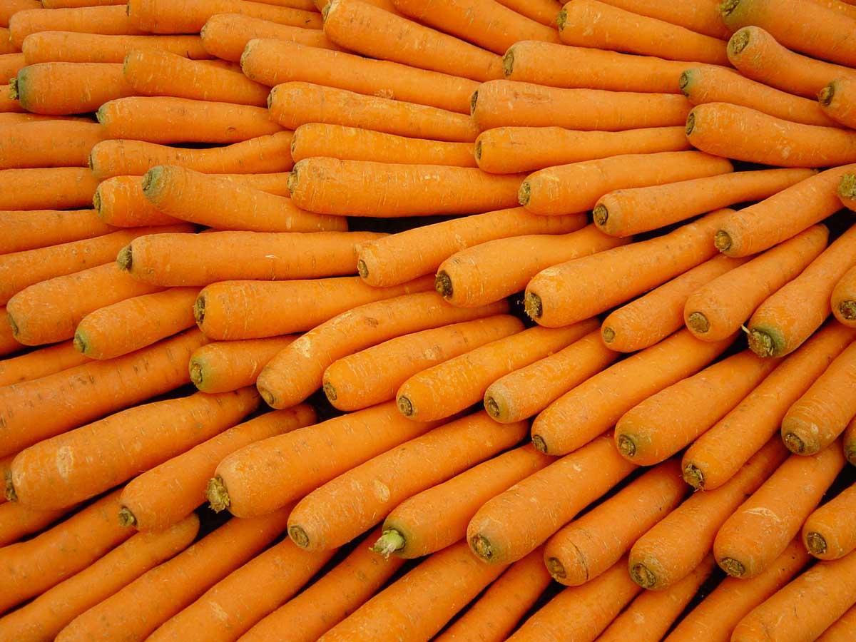 carrots.jpg