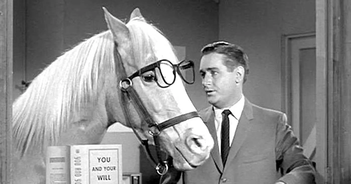 Mister-Ed-on-set.jpg.webp