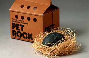 pet_rock.jpg