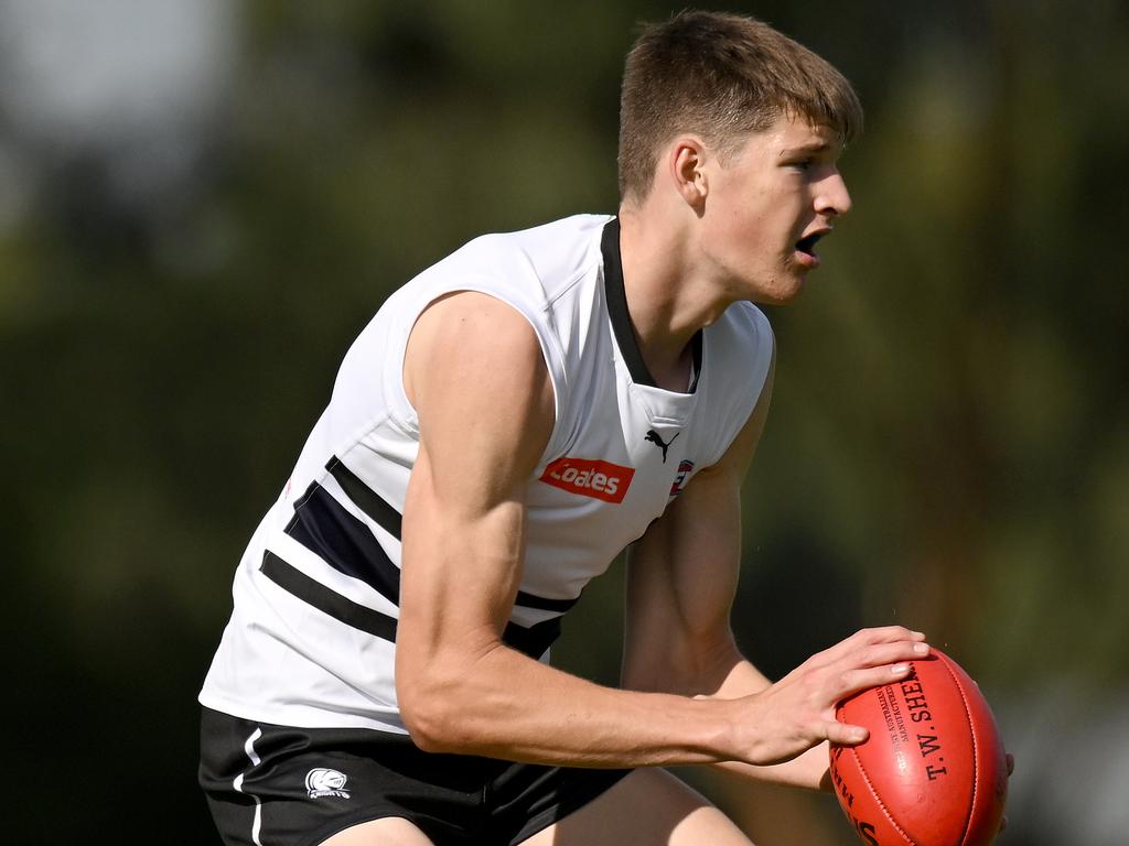 William Green of the Knights. Picture: Morgan Hancock/AFL Photos/via Getty Images