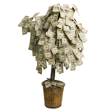 ist2_3416170-money-tree.jpg