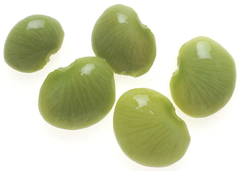 800px-NCI_lima_beans.jpg