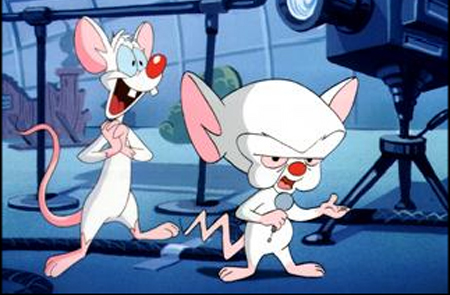 965792-pinky_and_the_brain.jpg