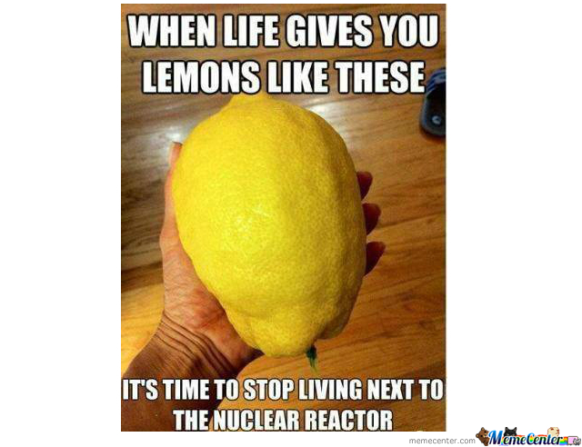 when-life-gives-you-lemons_o_2007603.jpg