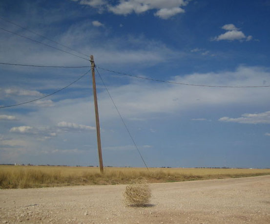 tumbleweed10.jpg