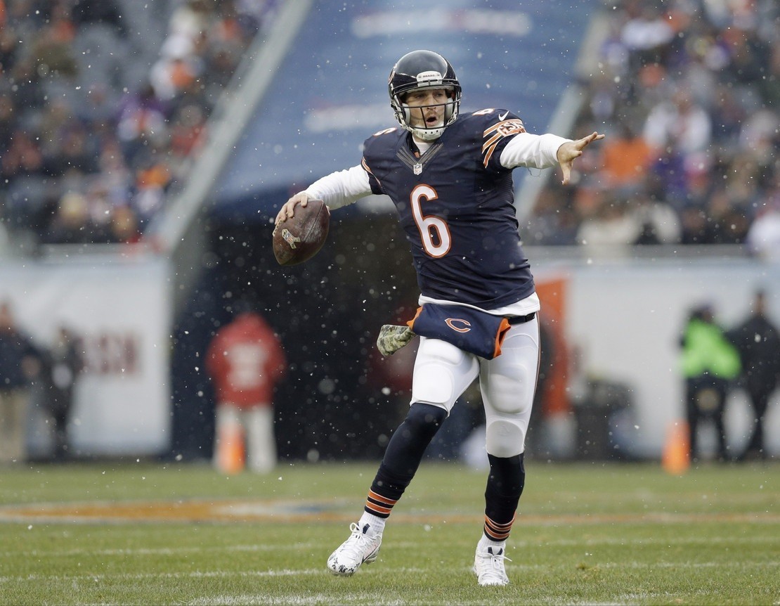 vikings-bears-football-jay-cutler_pg_600.jpg