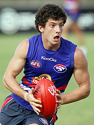 735330-tom-liberatore.jpg